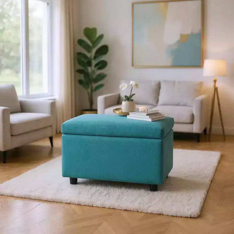 Tabouret de rangement multifonctionnel, assise et rangement en un, entrée de salon