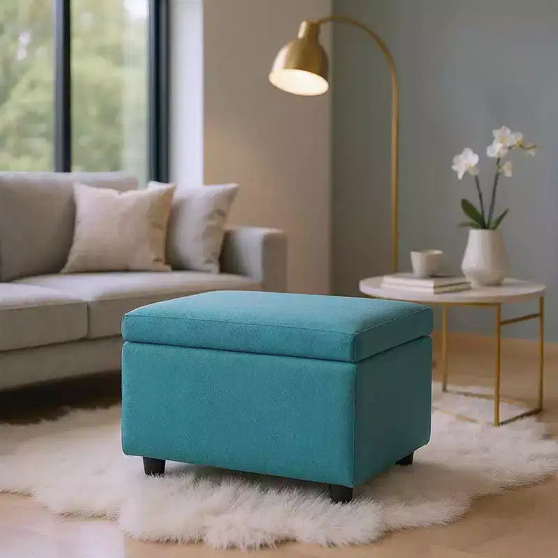 Tabouret de rangement multifonctionnel, assise et rangement en un, entrée de salon